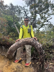 Thumbnail of pic_TB_Tung_004.jpg