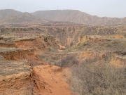 Thumbnail of P4110025.jpg