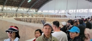 Thumbnail of P4130019.jpg