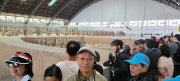 Thumbnail of P4130020.jpg