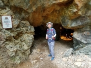 Thumbnail of P4270093.jpg