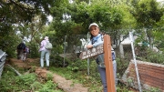 Thumbnail of pic_CW_Ho_069.JPG