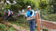 Thumbnail of pic_CW_Ho_071.JPG