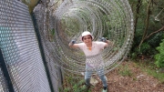 Thumbnail of pic_CW_Ho_091.JPG