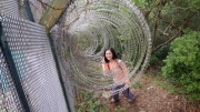 Thumbnail of pic_CW_Ho_095.JPG