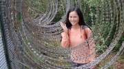 Thumbnail of pic_CW_Ho_096.JPG