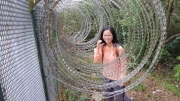 Thumbnail of pic_CW_Ho_097.JPG