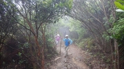 Thumbnail of pic_CW_Ho_115.JPG
