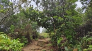 Thumbnail of pic_Derek_Wong_081.jpg