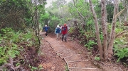 Thumbnail of pic_Derek_Wong_082.jpg