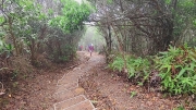 Thumbnail of pic_Derek_Wong_083.jpg