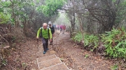 Thumbnail of pic_Derek_Wong_090.jpg