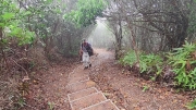 Thumbnail of pic_Derek_Wong_101.jpg