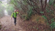 Thumbnail of pic_Derek_Wong_102.jpg