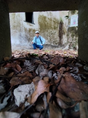 Thumbnail of pic_Kwok_Lam_005.jpg