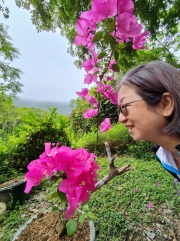 Thumbnail of pic_Kwok_Lam_014.jpg