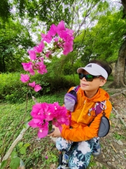 Thumbnail of pic_Kwok_Lam_021.jpg