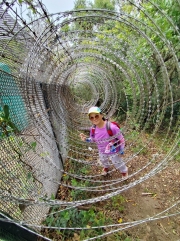 Thumbnail of pic_Kwok_Lam_032.jpg