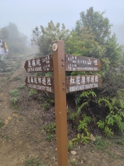 Thumbnail of pic_Kwok_Lam_048.jpg