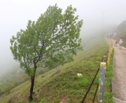 Thumbnail of pic_Lee_Shing_034.JPG