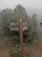 Thumbnail of pic_Lee_Woo_027.jpg
