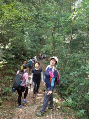 Thumbnail of P5040005.jpg