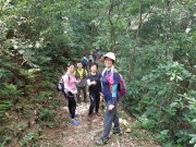 Thumbnail of P5040007.jpg