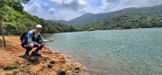 Thumbnail of pic_CW_Ho_033.jpg
