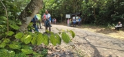 Thumbnail of pic_CW_Ho_042.jpg