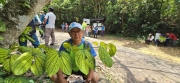 Thumbnail of pic_CW_Ho_043.jpg