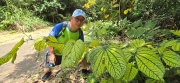 Thumbnail of pic_CW_Ho_044.jpg
