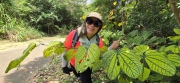 Thumbnail of pic_CW_Ho_046.jpg