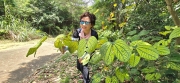 Thumbnail of pic_CW_Ho_047.jpg