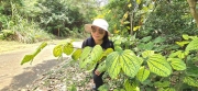 Thumbnail of pic_CW_Ho_048.jpg