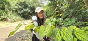 Thumbnail of pic_CW_Ho_049.jpg