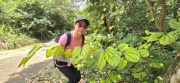 Thumbnail of pic_CW_Ho_050.jpg