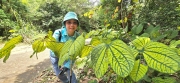 Thumbnail of pic_CW_Ho_052.jpg
