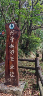 Thumbnail of pic_Cindy_Tse_001.jpg