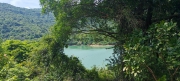 Thumbnail of pic_Cindy_Tse_006.jpg