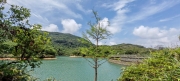 Thumbnail of pic_Cindy_Tse_008.jpg