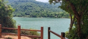 Thumbnail of pic_Cindy_Tse_013.jpg