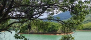 Thumbnail of pic_Cindy_Tse_018.jpg