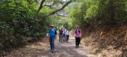 Thumbnail of pic_Cindy_Tse_026.jpg