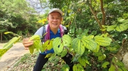 Thumbnail of pic_Derek_Wong_024.jpg