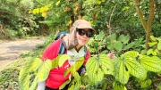 Thumbnail of pic_Derek_Wong_026.jpg