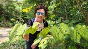 Thumbnail of pic_Derek_Wong_027.jpg