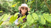 Thumbnail of pic_Derek_Wong_028.jpg