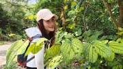 Thumbnail of pic_Derek_Wong_029.jpg