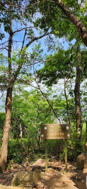 Thumbnail of pic_Si9_013.jpg