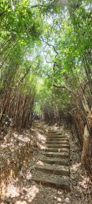 Thumbnail of pic_Si9_022.jpg